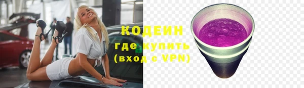 прущие грибы Заволжье