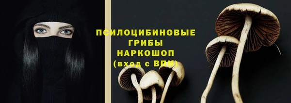 мдпв Заволжск