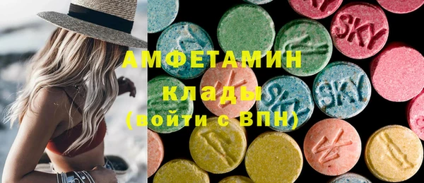 прущие грибы Заволжье