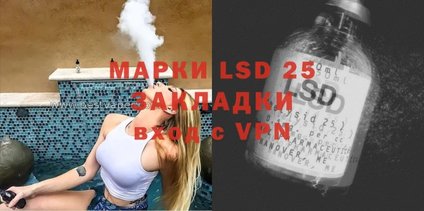 прущие грибы Заволжье