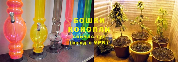 ешки Заводоуковск