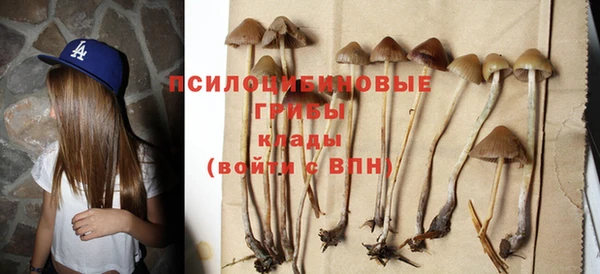 прущие грибы Заволжье