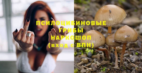 мдпв Заволжск
